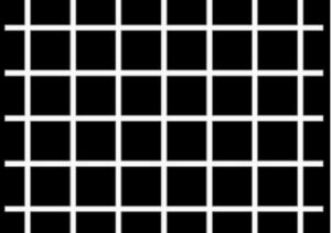 Optical illusion: Grid