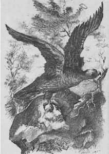 The Eagle of the Republic