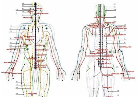 Meridians in the body