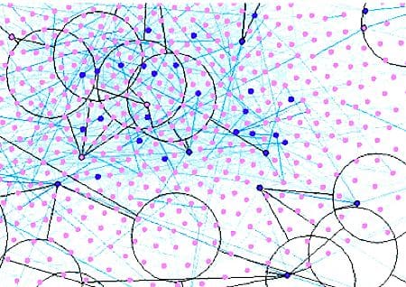 Social network