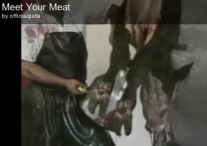 Environmental protection through vegetarianism