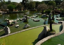 Crocodile farm