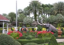 Tropical Garden