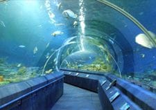 Underwater World