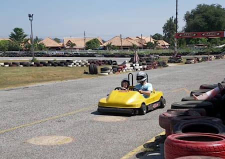 Mini Siamese Go Kart