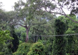 Rope slide Thailand