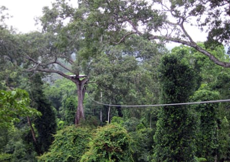 Seilrutsche Thailand