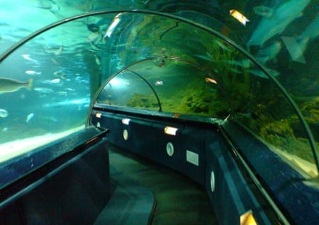 Underwater World Pattaya