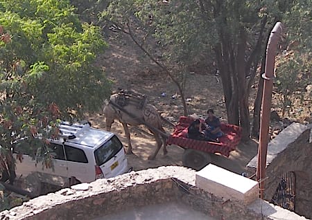 Neemrana camel cart