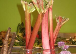 Rhubarb