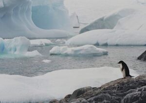 Antarctica