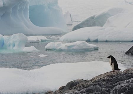 Antarctica