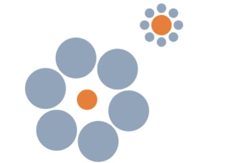Ebbinghaus Illusion 