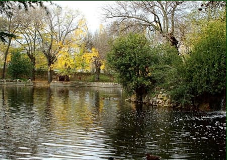 Madrid Capricho