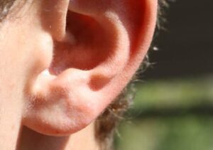 Ear