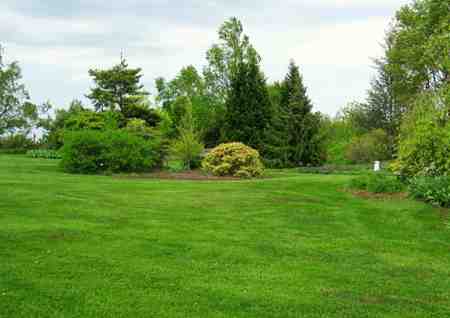 Lawn care