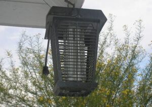 Insektenfalle