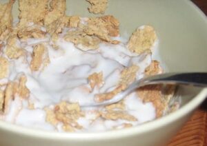 Selbstgemachter Joghurt
