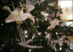 Advent
