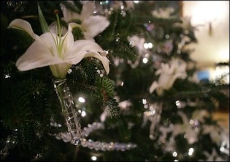 Advent Advent