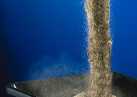 fresh catgut fresh cat litter