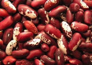 Beans