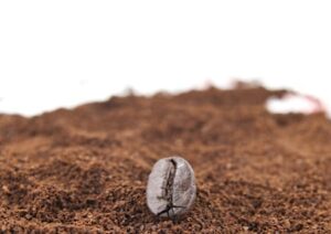 Coffee powder and coffee bean