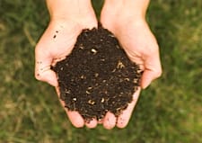 finished compost