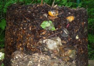 Compost heap