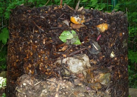 Compost heap