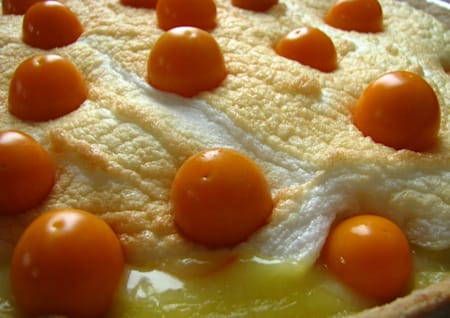 Obstkuchen