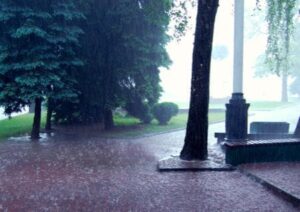 Rain