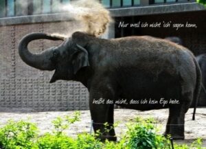 Lesen Sie mehr über den Artikel Haben Tiere ein Ego?