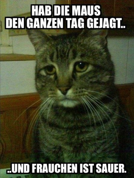Lesen Sie mehr über den Artikel Alle Mühe umsonst