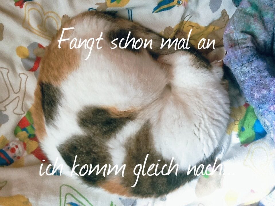 Lesen Sie mehr über den Artikel Keine Hektik, bitte!