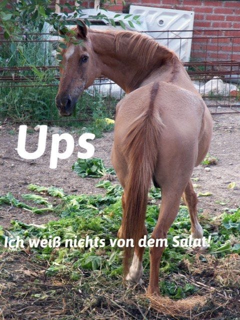 Lesen Sie mehr über den Artikel Erwischt!