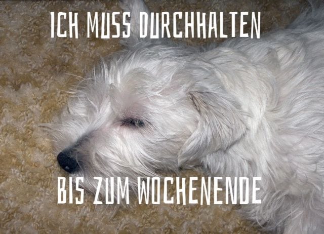 Lesen Sie mehr über den Artikel Eine harte Woche