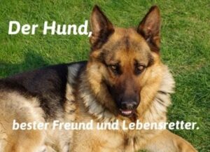 Schäferhund