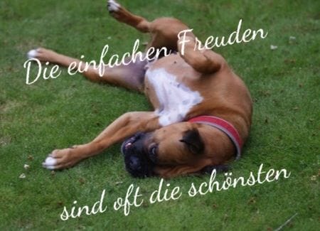 Lesen Sie mehr über den Artikel Back to Basics