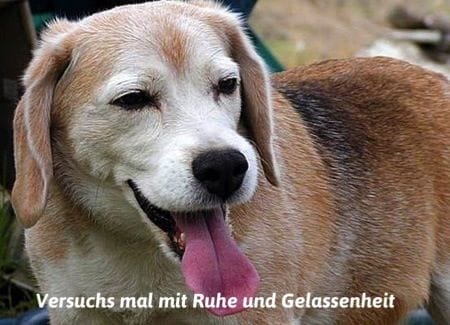 Lesen Sie mehr über den Artikel Nur die Ruhe…