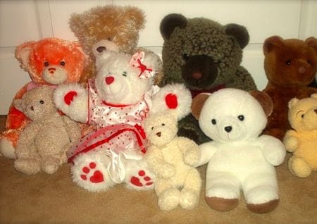 Teddybären