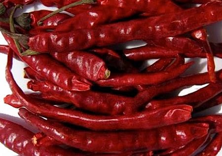 Guntur Chilischoten Guntur Chilischoten