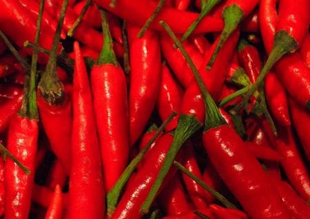 Tabasco Pfefferschoten Tabasco Pfefferschoten
