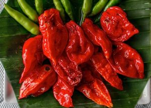 Chilischoten