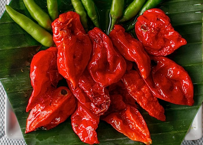 Chilischoten