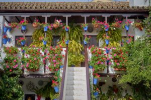 Sehenswürdigkeiten in Cordoba