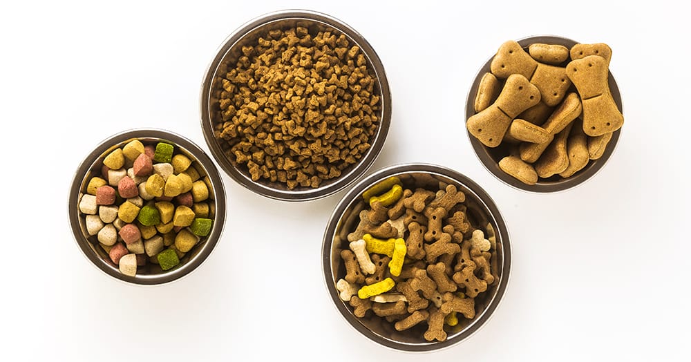 Gluten Intoleranz bei Hunden