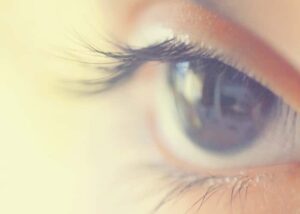 Eye