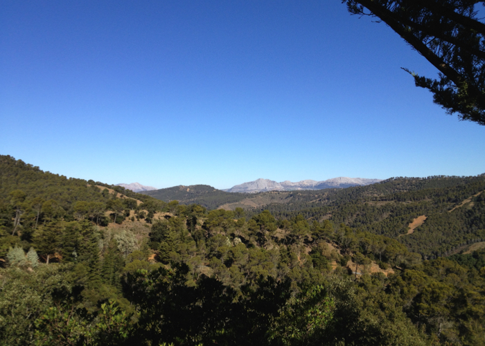 Montes de Malaga Montes de Malaga