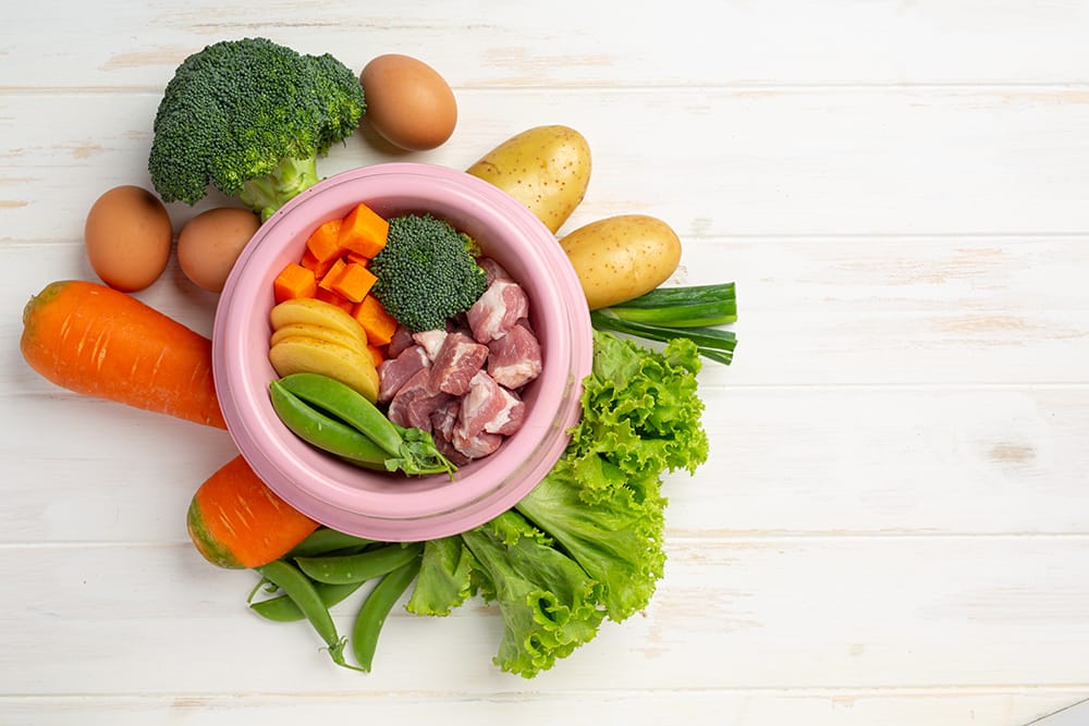 glutenfreies Hundefutter